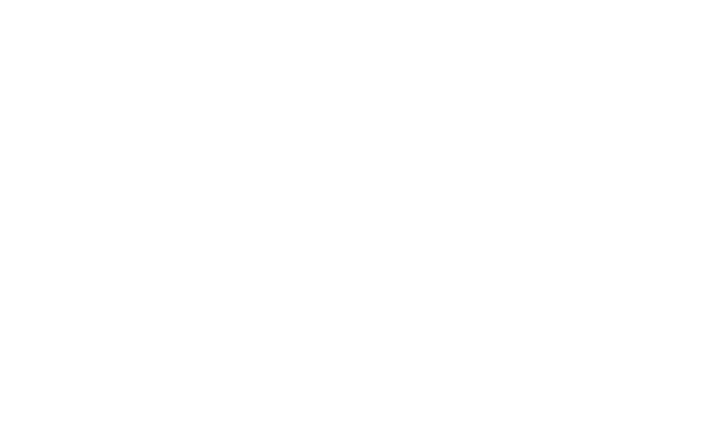 big news network