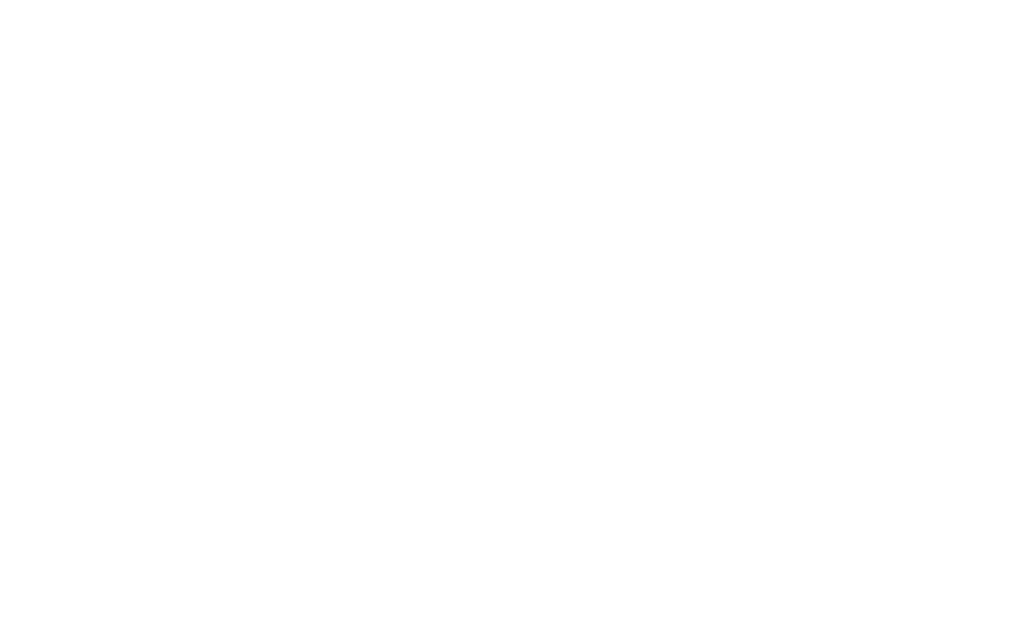 the pioneer