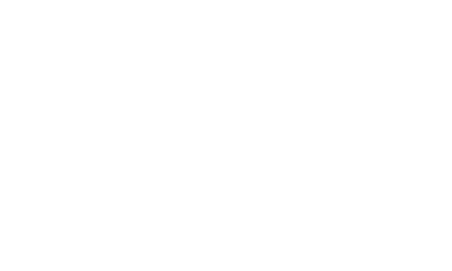 the pioneer